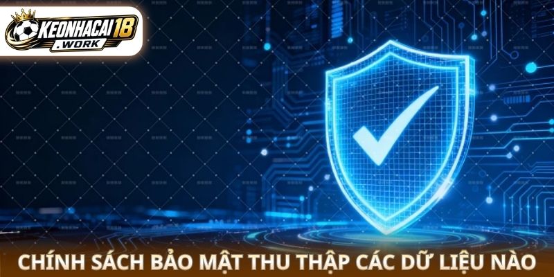 Chính sách bảo mật thu thập các dữ liệu nào