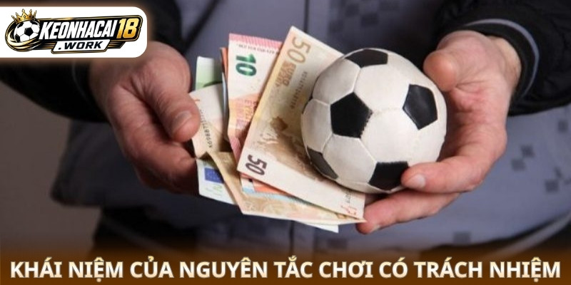 Khái niệm của nguyên tắc chơi có trách nhiệm